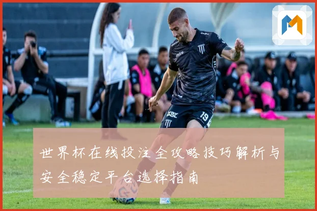 世界杯在线投注全攻略技巧解析与安全稳定平台选择指南