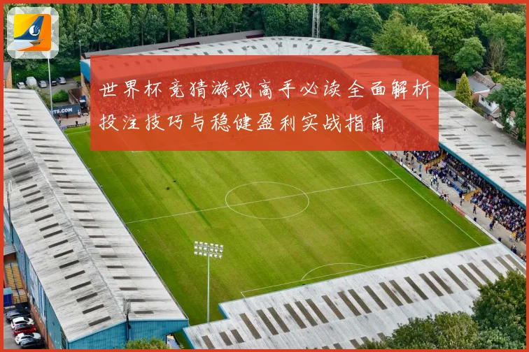 世界杯竞猜游戏高手必读全面解析投注技巧与稳健盈利实战指南