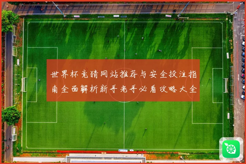 世界杯竞猜网站推荐与安全投注指南全面解析新手老手必看攻略大全